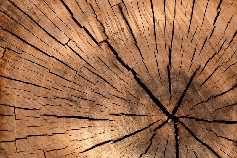 Reclaimed Wood Furniture